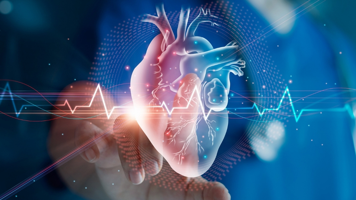 What Happens to Your Heart as You Age